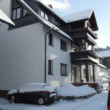 Ortsmitte-willingen Apartment