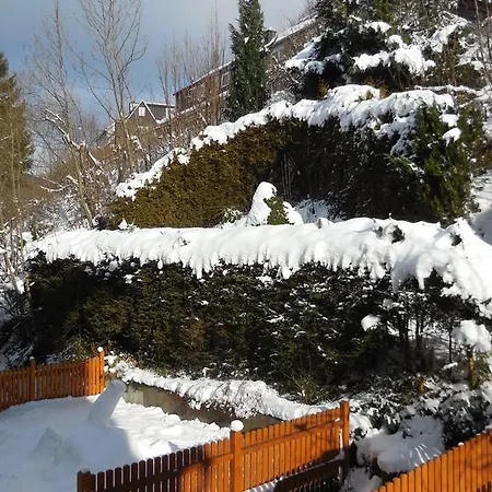 Ortsmitte-willingen Apartment *