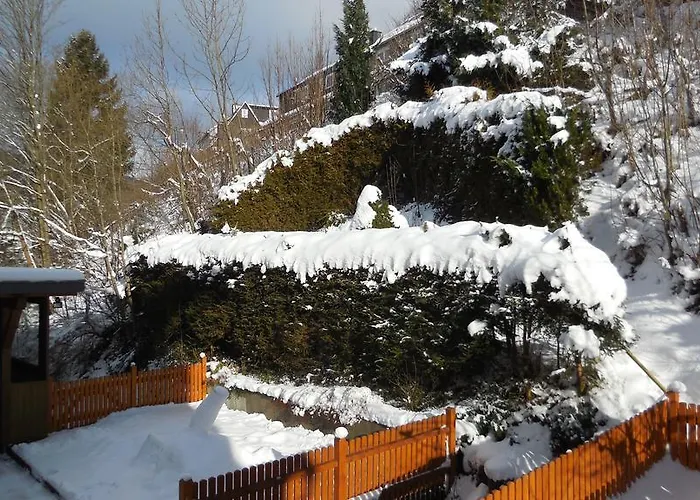 Ortsmitte-willingen アパート *